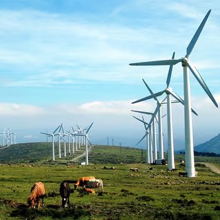 Quels sont les effets des infrasons des éoliennes sur la santé ? © PxHere